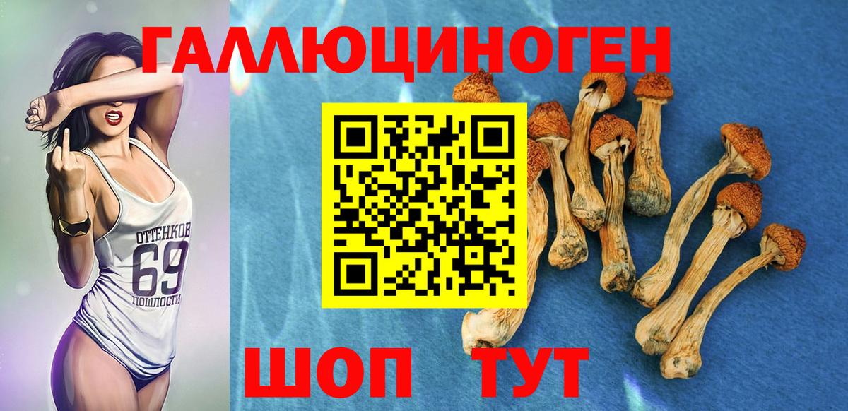 Галлюциногенные грибы Psilocybe Туймазы